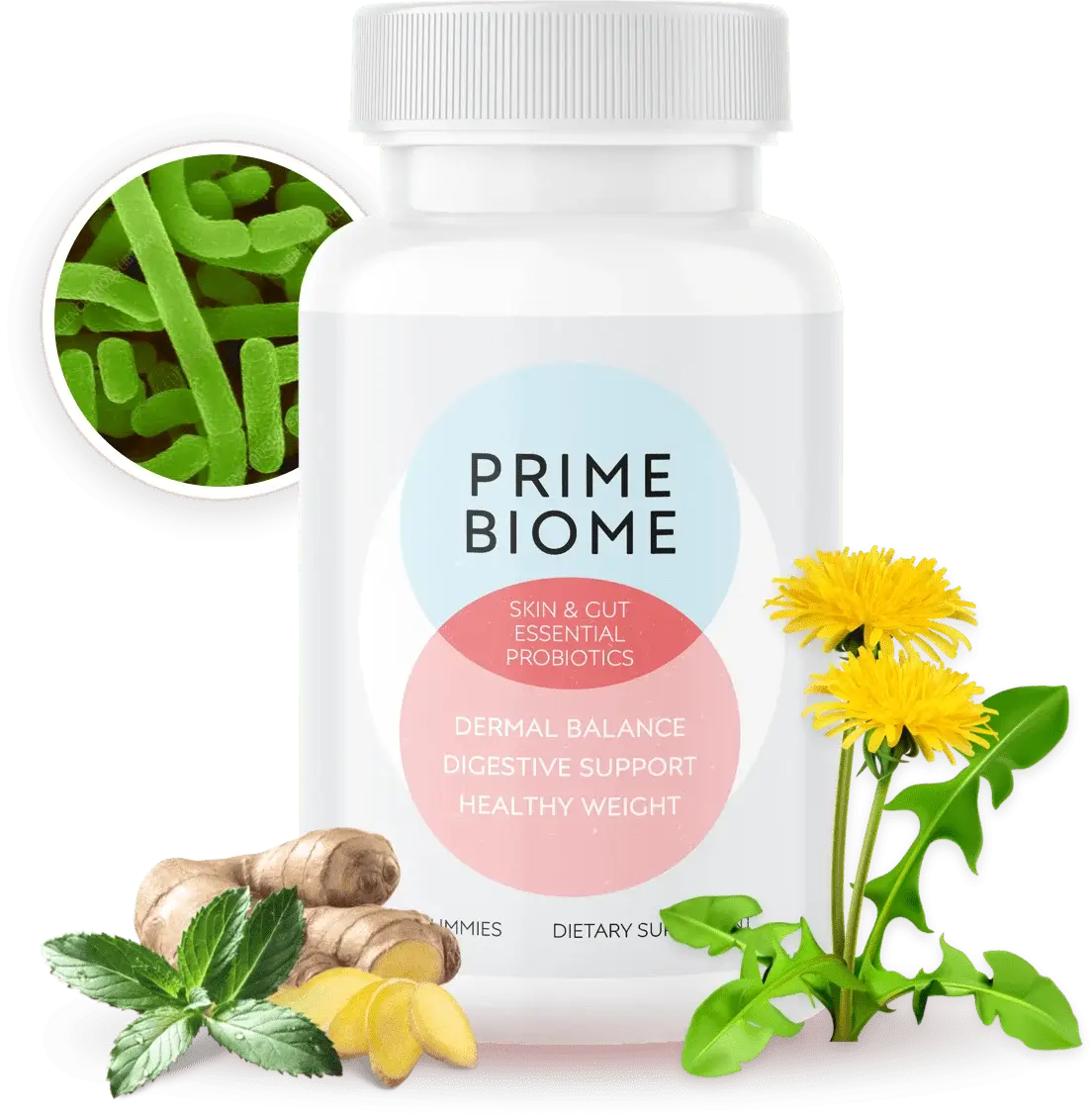 PrimeBiome Sale
